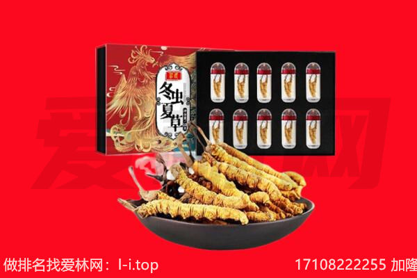 长春市德惠回收虫草.jpg
